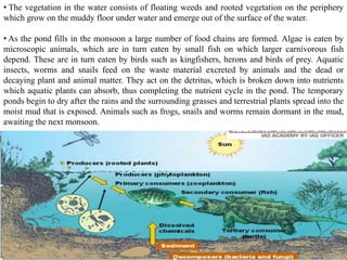 • The vegetation in the water consists of floating weeds and rooted vegetation on the periphery
which grow on the muddy floor under water and emerge out of the surface of the water.
• As the pond fills in the monsoon a large number of food chains are formed. Algae is eaten by
microscopic animals, which are in turn eaten by small fish on which larger carnivorous fish
depend. These are in turn eaten by birds such as kingfishers, herons and birds of prey. Aquatic
insects, worms and snails feed on the waste material excreted by animals and the dead or
decaying plant and animal matter. They act on the detritus, which is broken down into nutrients
which aquatic plants can absorb, thus completing the nutrient cycle in the pond. The temporary
ponds begin to dry after the rains and the surrounding grasses and terrestrial plants spread into the
moist mud that is exposed. Animals such as frogs, snails and worms remain dormant in the mud,
awaiting the next monsoon.
 