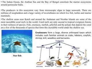 • The Indian Ocean, the Arabian Sea and the Bay of Bengal constitute the marine ecosystems
around peninsular India.
•The producers in this ecosystem vary from microscopic algae to large seaweeds. There are
millions of zooplankton and a large variety of invertebrates on which live fish, turtles and marine
mammals.
•The shallow areas near Kutch and around the Andaman and Nicobar Islands are some of the
most incredible coral reefs in the world. Coral reefs are only second to tropical evergreen forests
in their richness of species. Fish, crustacea, starfish, jellyfish and the polyps that deposit the coral
are a few of the thousands of species that form this incredible world under the shallow sea.
Crustaceans form a large, diverse arthropod taxon which
includes such familiar animals as crabs, lobsters, crayfish,
shrimp, krill, woodlice and barnacles.
Star fish
 