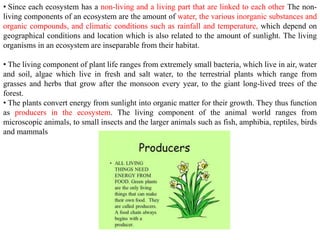 • Since each ecosystem has a non-living and a living part that are linked to each other The non-
living components of an ecosystem are the amount of water, the various inorganic substances and
organic compounds, and climatic conditions such as rainfall and temperature, which depend on
geographical conditions and location which is also related to the amount of sunlight. The living
organisms in an ecosystem are inseparable from their habitat.
• The living component of plant life ranges from extremely small bacteria, which live in air, water
and soil, algae which live in fresh and salt water, to the terrestrial plants which range from
grasses and herbs that grow after the monsoon every year, to the giant long-lived trees of the
forest.
• The plants convert energy from sunlight into organic matter for their growth. They thus function
as producers in the ecosystem. The living component of the animal world ranges from
microscopic animals, to small insects and the larger animals such as fish, amphibia, reptiles, birds
and mammals
 