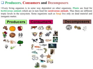  Producers, Consumers and Decomposers
• Every living organism is in some way dependent on other organisms. Plants are food for
herbivorous animals which are in turn food for carnivorous animals. Thus there are different
tropic levels in the ecosystem. Some organisms such as fungi live only on dead material and
inorganic matter.
 
