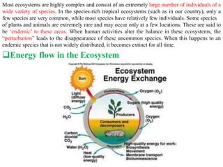 Most ecosystems are highly complex and consist of an extremely large number of individuals of a
wide variety of species. In the species-rich tropical ecosystems (such as in our country), only a
few species are very common, while most species have relatively few individuals. Some species
of plants and animals are extremely rare and may occur only at a few locations. These are said to
be ‘endemic’ to these areas. When human activities alter the balance in these ecosystems, the
“perturbation” leads to the disappearance of these uncommon species. When this happens to an
endemic species that is not widely distributed, it becomes extinct for all time.
Energy flow in the Ecosystem
 