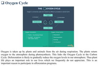  Oxygen Cycle
Oxygen is taken up by plants and animals from the air during respiration. The plants return
oxygen to the atmosphere during photosynthesis. This links the Oxygen Cycle to the Carbon
Cycle. Deforestation is likely to gradually reduce the oxygen levels in our atmosphere. Thus plant
life plays an important role in our lives which we frequently do not appreciate. This is an
important reason to participate in afforestation programs.
 