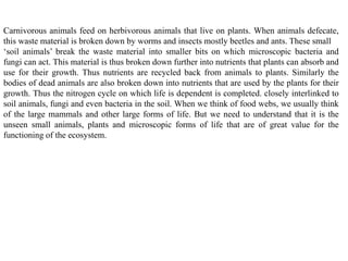 Carnivorous animals feed on herbivorous animals that live on plants. When animals defecate,
this waste material is broken down by worms and insects mostly beetles and ants. These small
‘soil animals’ break the waste material into smaller bits on which microscopic bacteria and
fungi can act. This material is thus broken down further into nutrients that plants can absorb and
use for their growth. Thus nutrients are recycled back from animals to plants. Similarly the
bodies of dead animals are also broken down into nutrients that are used by the plants for their
growth. Thus the nitrogen cycle on which life is dependent is completed. closely interlinked to
soil animals, fungi and even bacteria in the soil. When we think of food webs, we usually think
of the large mammals and other large forms of life. But we need to understand that it is the
unseen small animals, plants and microscopic forms of life that are of great value for the
functioning of the ecosystem.
 