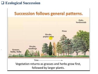  Ecological Succession
.
 