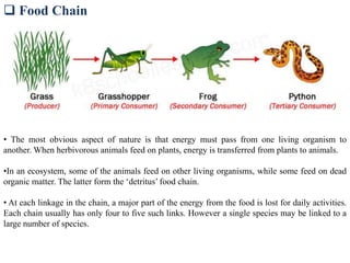  Food Chain
• The most obvious aspect of nature is that energy must pass from one living organism to
another. When herbivorous animals feed on plants, energy is transferred from plants to animals.
•In an ecosystem, some of the animals feed on other living organisms, while some feed on dead
organic matter. The latter form the ‘detritus’ food chain.
• At each linkage in the chain, a major part of the energy from the food is lost for daily activities.
Each chain usually has only four to five such links. However a single species may be linked to a
large number of species.
 