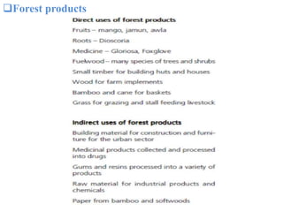 Forest products
 