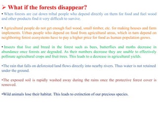  What if the forests disappear?
• When forests are cut down tribal people who depend directly on them for food and fuel wood
and other products find it very difficult to survive.
• Agricultural people do not get enough fuel wood, small timber, etc. for making houses and farm
implements. Urban people who depend on food from agricultural areas, which in turn depend on
neighboring forest ecosystems have to pay a higher price for food as human population grows.
• Insects that live and breed in the forest such as bees, butterflies and moths decrease in
abundance once forests are degraded. As their numbers decrease they are unable to effectively
pollinate agricultural crops and fruit trees. This leads to a decrease in agricultural yields.
•The rain that falls on deforested land flows directly into nearby rivers. Thus water is not retained
under the ground.
•The exposed soil is rapidly washed away during the rains once the protective forest cover is
removed.
•Wild animals lose their habitat. This leads to extinction of our precious species.
 