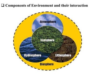  Components of Environment and their interaction
 