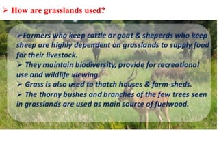  How are grasslands used?
 