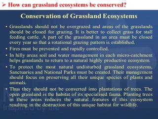  How can grassland ecosystems be conserved?
 