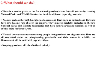 What should we do?
• There is a need to preserve the few natural grassland areas that still survive by creating
National Parks and Wildlife Sanctuaries in all the different types of grasslands.
• Animals such as the wolf, blackbuck, chinkara and birds such as bustards and floricans
have now become rare all over the country. They must be carefully protected in the few
National Parks and Wildlife Sanctuaries that have natural grassland habitats as well as
outside these Protected Areas.
• We need to create an awareness among people that grasslands are of great value. If we are
all concerned about our disappearing grasslands and their wonderful wildlife, the
Government will be motivated to protect them.
• Keeping grasslands alive is a National priority.
 