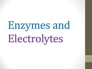 Enzymes and
Electrolytes

 