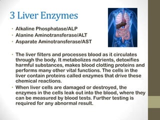 Module 3 enzymes and electrolytes | PPTX