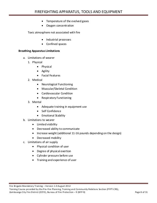 most treasured possession essay examples