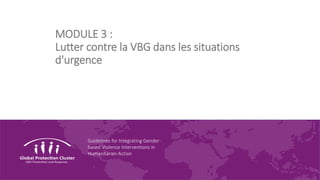 Guidelines for Integrating Gender-
based Violence Interventions in
Humanitarian Action
MODULE 3 :
Lutter contre la VBG dans les situations
d'urgence
 