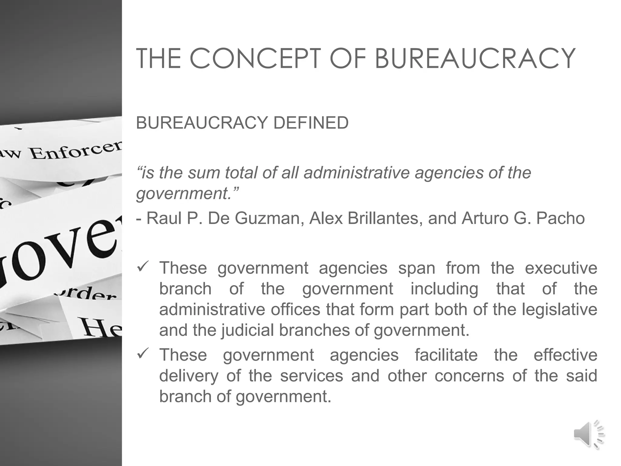 Module 3 GOVERNMENT AND BUREAUCRACY.pdf
