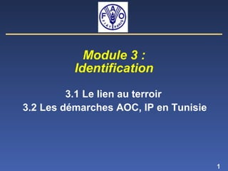 1
Module 3 :
Identification
3.1 Le lien au terroir
3.2 Les démarches AOC, IP en Tunisie
 