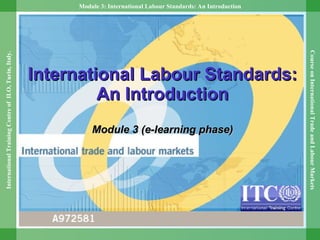 International Labour Standards: An Introduction Module 3 (e-learning phase) 