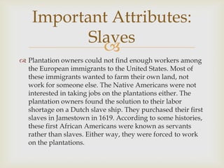 Important Attributes:
Slaves

 Plantation owners could not find enough workers among
the European immigrants to the United States. Most of
these immigrants wanted to farm their own land, not
work for someone else. The Native Americans were not
interested in taking jobs on the plantations either. The
plantation owners found the solution to their labor
shortage on a Dutch slave ship. They purchased their first
slaves in Jamestown in 1619. According to some histories,
these first African Americans were known as servants
rather than slaves. Either way, they were forced to work
on the plantations.

 