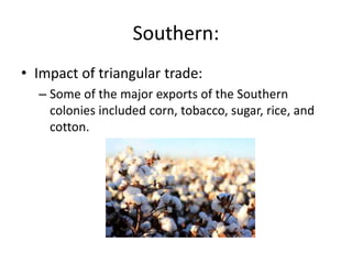 Southern:
• Impact of triangular trade:
– Some of the major exports of the Southern
colonies included corn, tobacco, sugar, rice, and
cotton.
 