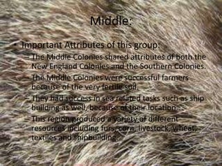 Middle:
• Important Attributes of this group:
– The Middle Colonies shared attributes of both the
New England Colonies and the Southern Colonies.
– The Middle Colonies were successful farmers
because of the very fertile soil.
– They had success in sea related tasks such as ship
building as well, because of their location.
– This region produced a variety of different
resources including furs, corn, livestock, wheat,
textiles and shipbuilding.
 