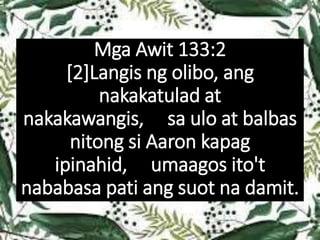 Mga Awit 133:2
[2]Langis ng olibo, ang
nakakatulad at
nakakawangis, sa ulo at balbas
nitong si Aaron kapag
ipinahid, umaagos ito't
nababasa pati ang suot na damit.
 