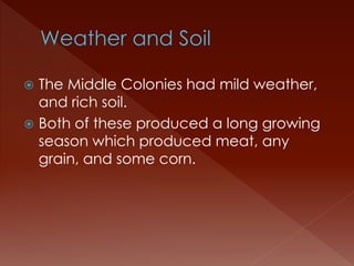  The Middle Colonies had mild weather, 
and rich soil. 
 Both of these produced a long growing 
season which produced meat, any 
grain, and some corn. 
 