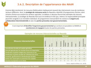 MODULE 3: Élaboration progressive des MAAN
3.6.2. Description de l’appartenance des MAAN
Comme déjà mentionné, les mesures d’atténuation impliqueront souvent des intervenants issus de nombreux
secteurs différents. Ainsi, la stratégie de croissance verte du Rwanda a identifié 14 programmes d’action, dont
certains d’entre eux visaient les secteurs agricoles. Le tableau ci-dessous fournit des exemples de mesures
intersectorielles. La stratégie du Rwanda met aussi en évidence le fait que, même si la responsabilité principale
peut être assignée à un ministère individuel, les programmes transcendent les secteurs et exigent une
collaboration interministérielle et avec les parties prenantes non gouvernementales.
45
Mesures intersectorielles
Secteur
Agriculture
Eau
Terres
Transport
Foresterie
Exploitation
minière
Énergie
Industrie
Santé
Education
Gouvernement
local
Intensification durable de la petite agriculture √ √ √ √ √ √
Diversité agricole pour les marchés locaux et d’exportation √ √ √ √ √ √ √
Planification et gestion intégrée des ressources en eau √ √ √ √ √ √ √ √ √ √
Planification et gestion durable de l’utilisation des terres √ √ √ √ √ √ √ √ √ √
Foresterie, agroforesterie et dendroénergie durables √ √ √ √ √ √ √ √ √
Gestion des catastrophes et prévention des maladies √ √ √ √ √ √ √ √ √ √ √
Données et projections sur le climat √ √ √ √ √ √ √ √ √ √ √
Source: adapté de Wilkes et al., 2013b.
Exemples de mesures intersectorielles au Rwanda
Il est important d’identifier l’organisme gouvernemental qui conduira et possédera la MAAN et
coordonnera et engagera toutes les parties prenantes.
4
 