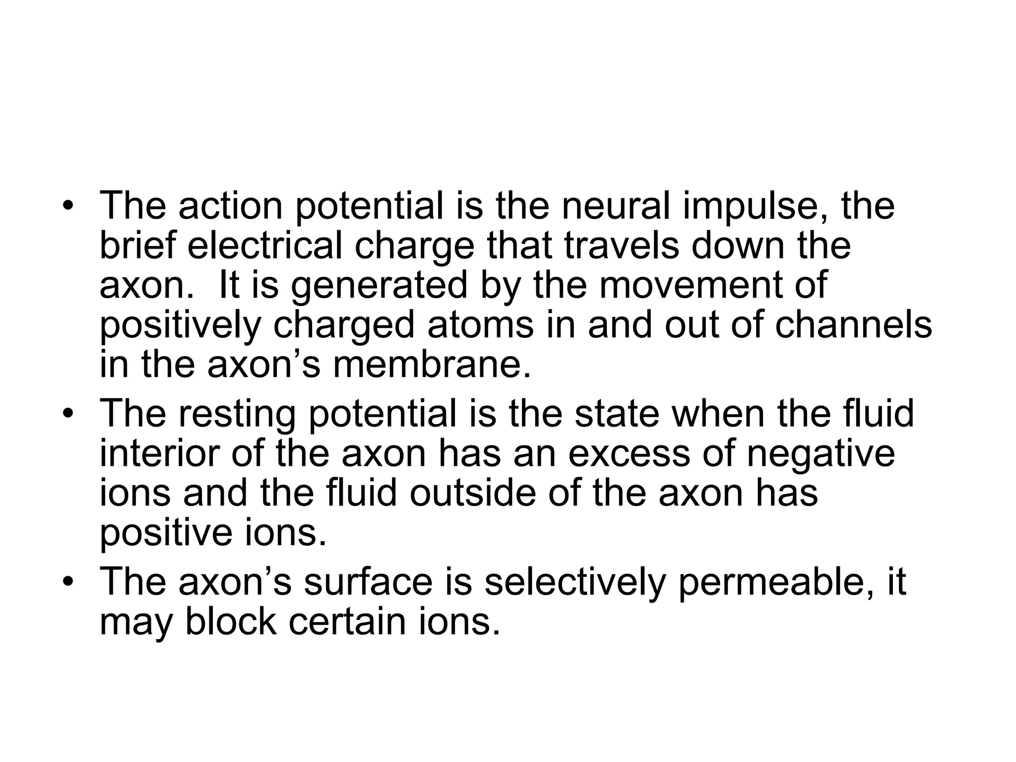 The action potential is the neural impulse, the brief electrical charge that travels down the axon.  It is generated by the movement of positively charged atoms in and out of channels in the axon’s membrane. The resting potential is the state when the fluid interior of the axon has an excess of negative ions and the fluid outside of the axon has positive ions. The axon’s surface is selectively permeable, it may block certain ions.  