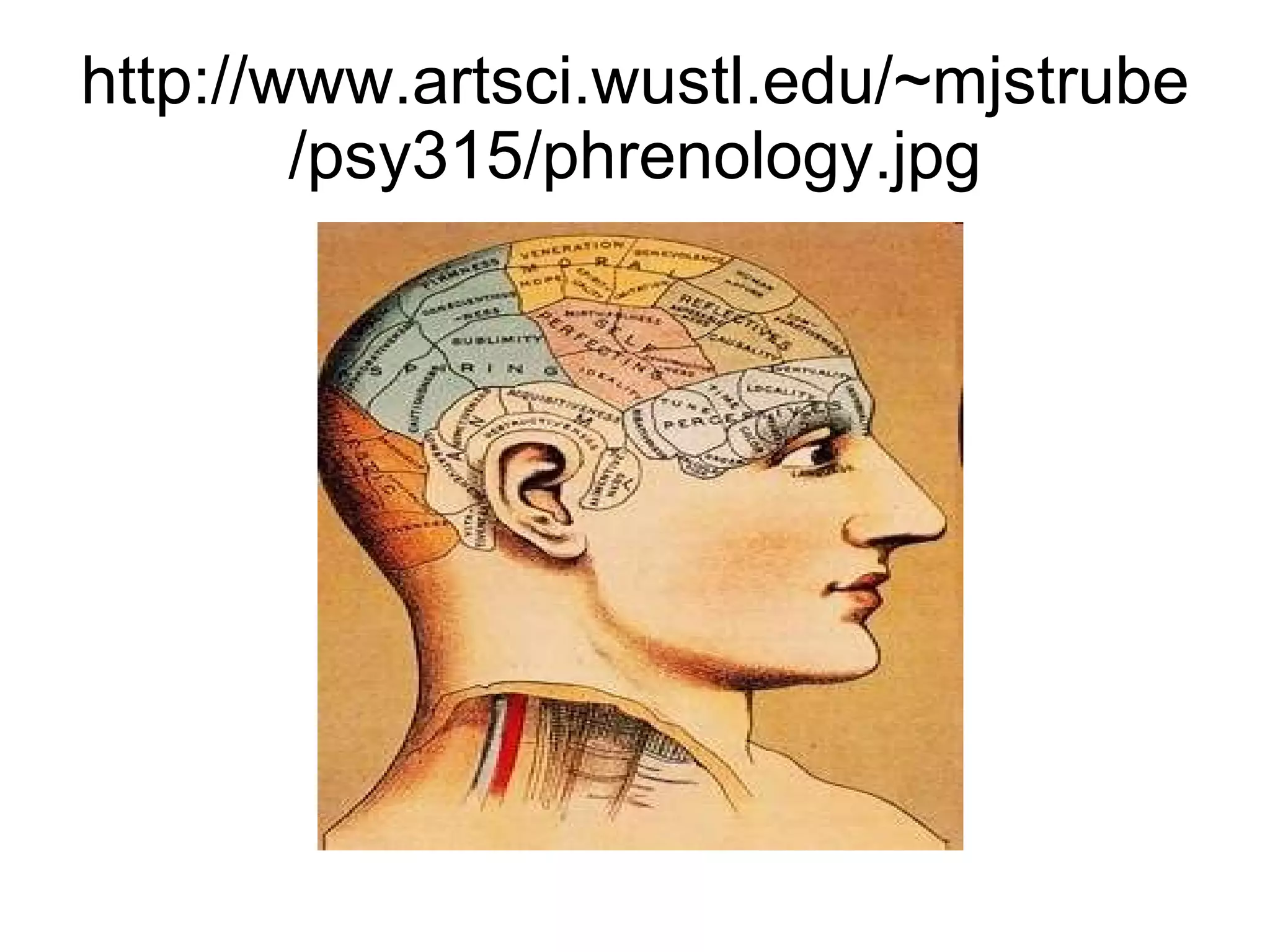 http://www.artsci.wustl.edu/~mjstrube/psy315/phrenology.jpg 