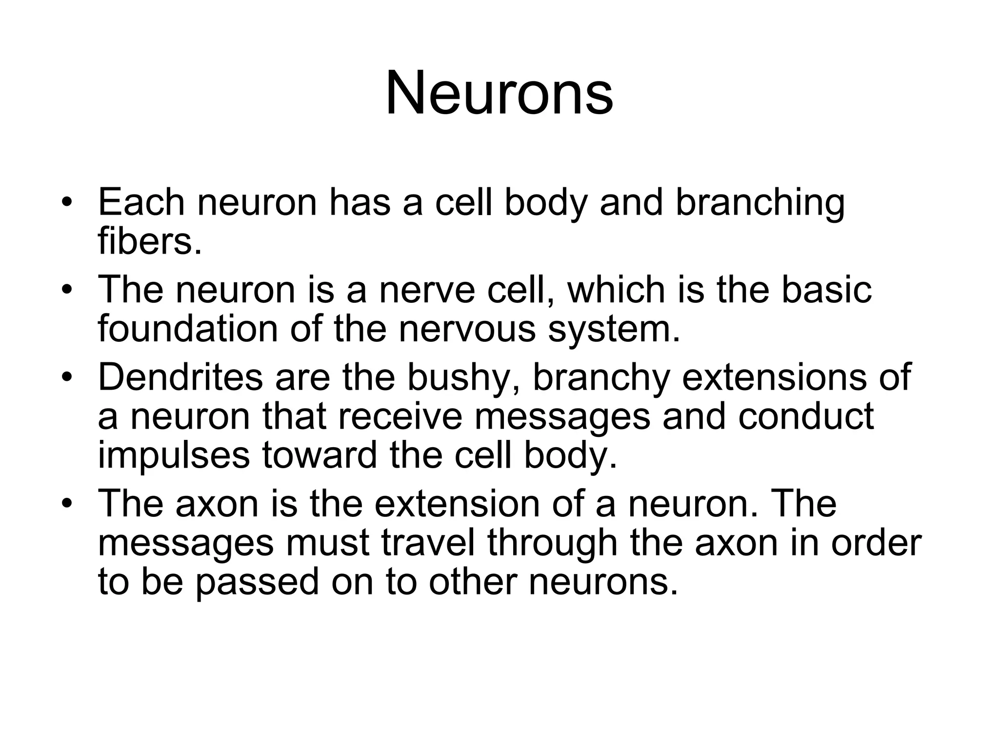 Neurons Each neuron has a cell body and branching fibers.  The neuron is a nerve cell, which is the basic foundation of the nervous system. Dendrites are the bushy, branchy extensions of a neuron that receive messages and conduct impulses toward the cell body. The axon is the extension of a neuron. The messages must travel through the axon in order to be passed on to other neurons.  