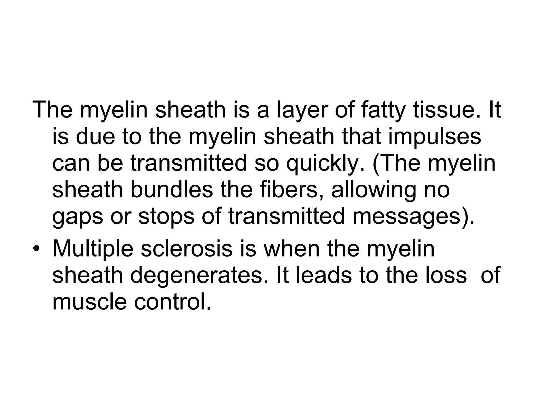 The myelin sheath is a layer of fatty tissue. It is due to the myelin sheath that impulses can be transmitted so quickly. (The myelin sheath bundles the fibers, allowing no gaps or stops of transmitted messages). Multiple sclerosis is when the myelin sheath degenerates. It leads to the loss  of muscle control. 