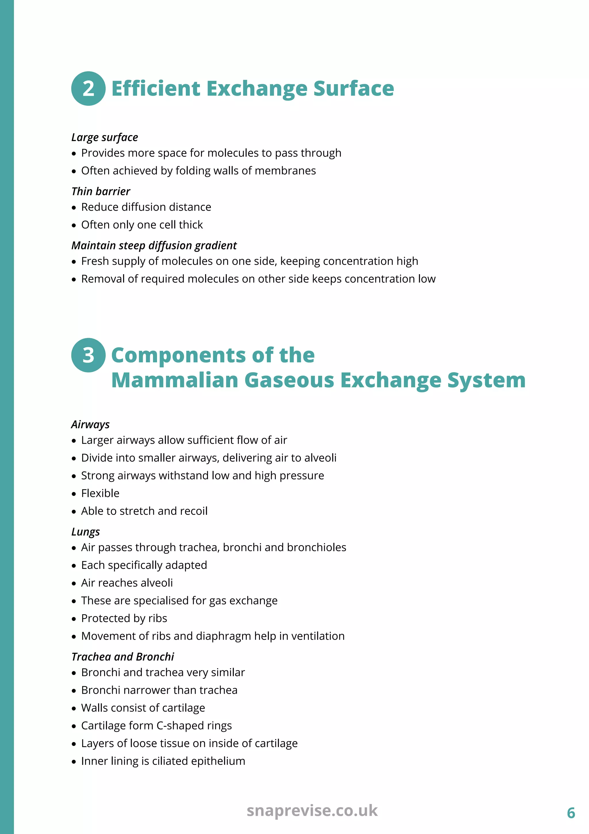 A-level OCR Biology Notes: Exchange & Transport (Module 3) | PDF