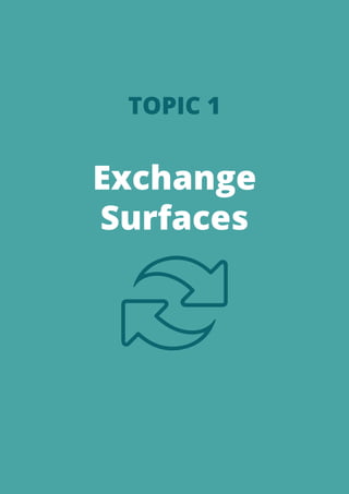 A-level OCR Biology Notes: Exchange & Transport (Module 3) | PDF