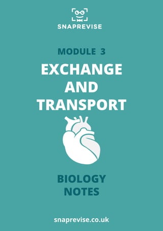EXCHANGE
AND
TRANSPORT
BIOLOGY
NOTES
MODULE 3
snaprevise.co.uk
 