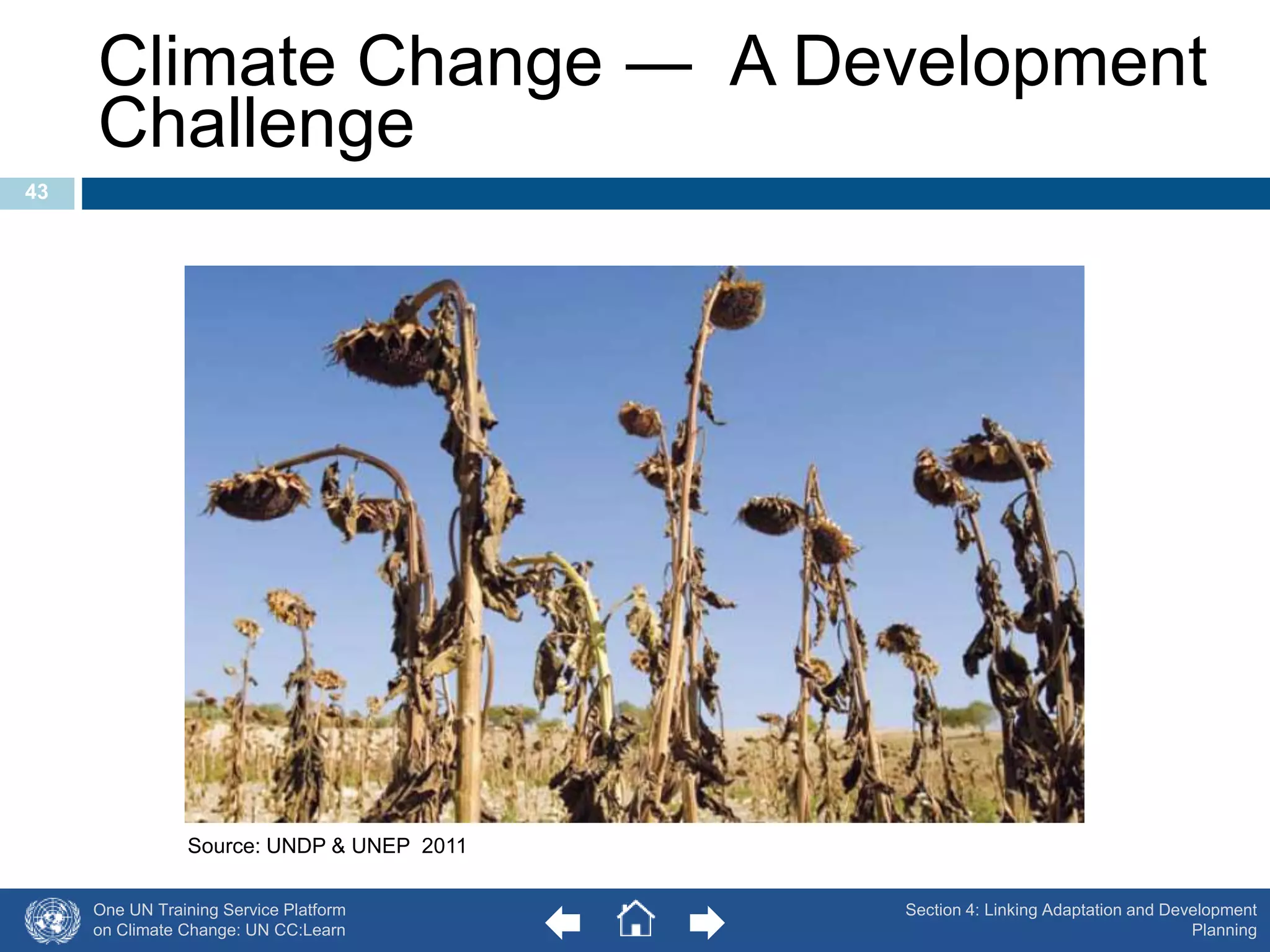 Climate Change ― A Development 
Challenge 
One UN Training Service Platform 
on Climate Change: UN CC:Learn 
Section 4: Linking Adaptation and Development 
Planning 
43 
Source: UNDP & UNEP 2011 
 