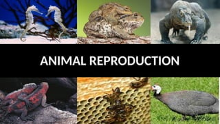 MODULE 3_ Reproduction and its different type.pptx