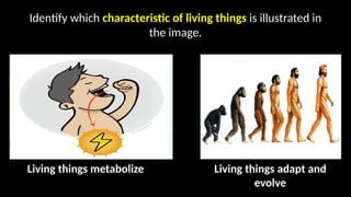Living Type MODULE 3_ Reproduction and its different type.pptx