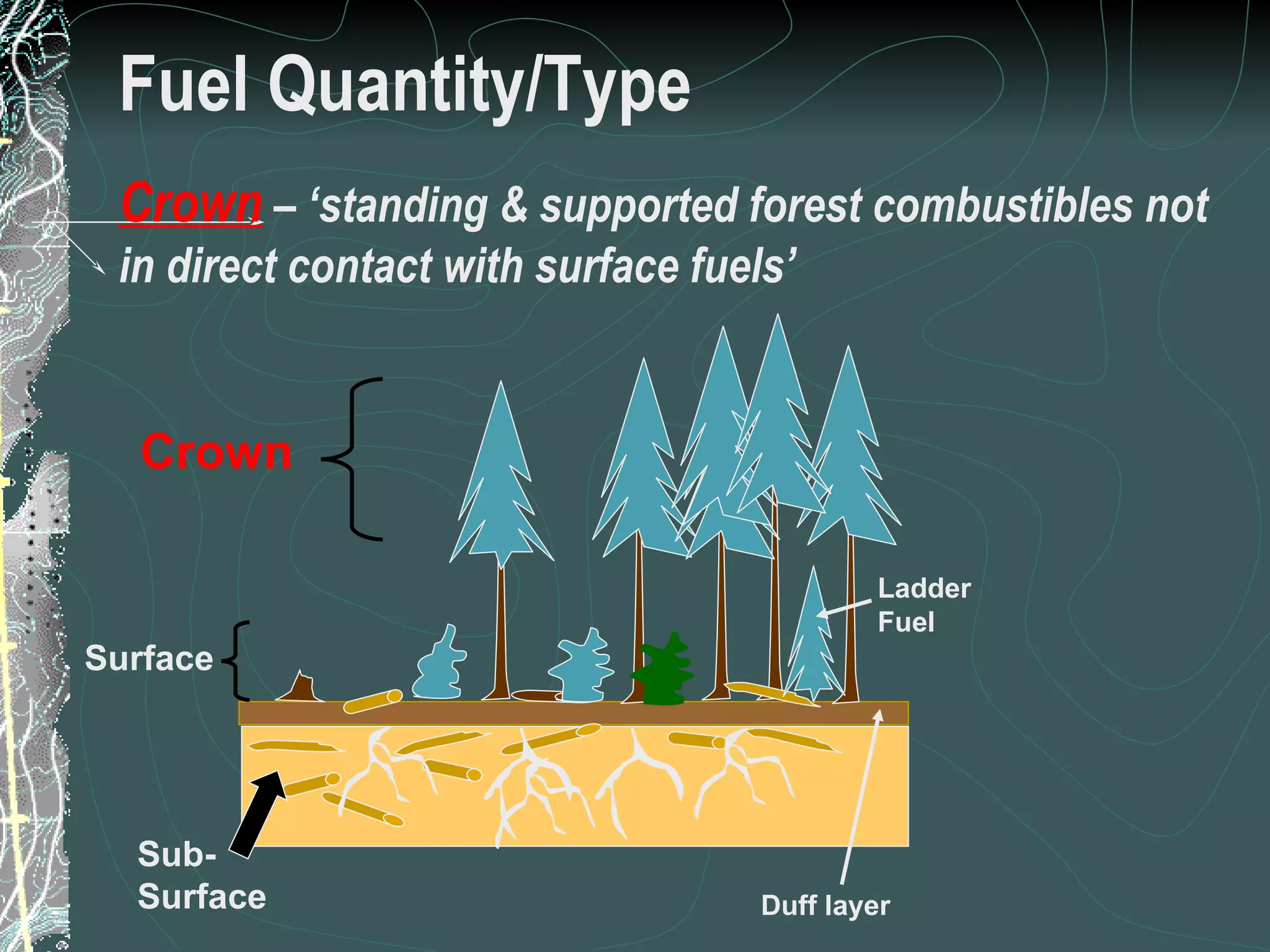 Fuel Quantity/Type Crown   – ‘standing & supported forest combustibles not in direct contact with surface fuels’ Crown Surface Sub- Surface Duff layer Ladder Fuel 