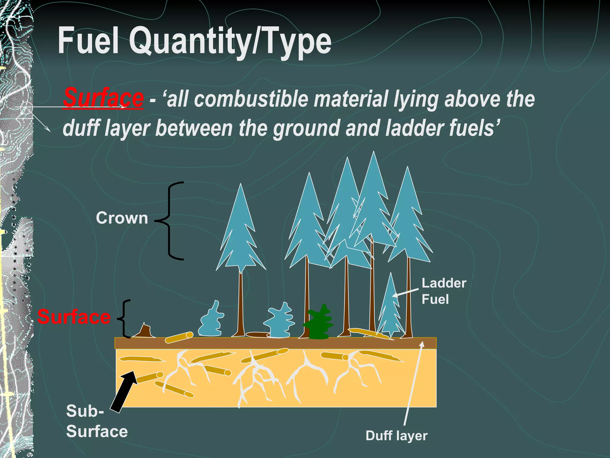 Fuel Quantity/Type Surface  - ‘all combustible material lying above the  duff layer between the ground and ladder fuels’ Crown Surface Sub- Surface Duff layer Subsurface  - ‘all combustible material below the litter (duff) layer of the forest floor (e.g., roots, punky wood and peat)’ Ladder Fuel 8 of 31 Low Complexity Prescribed Burn Worker 