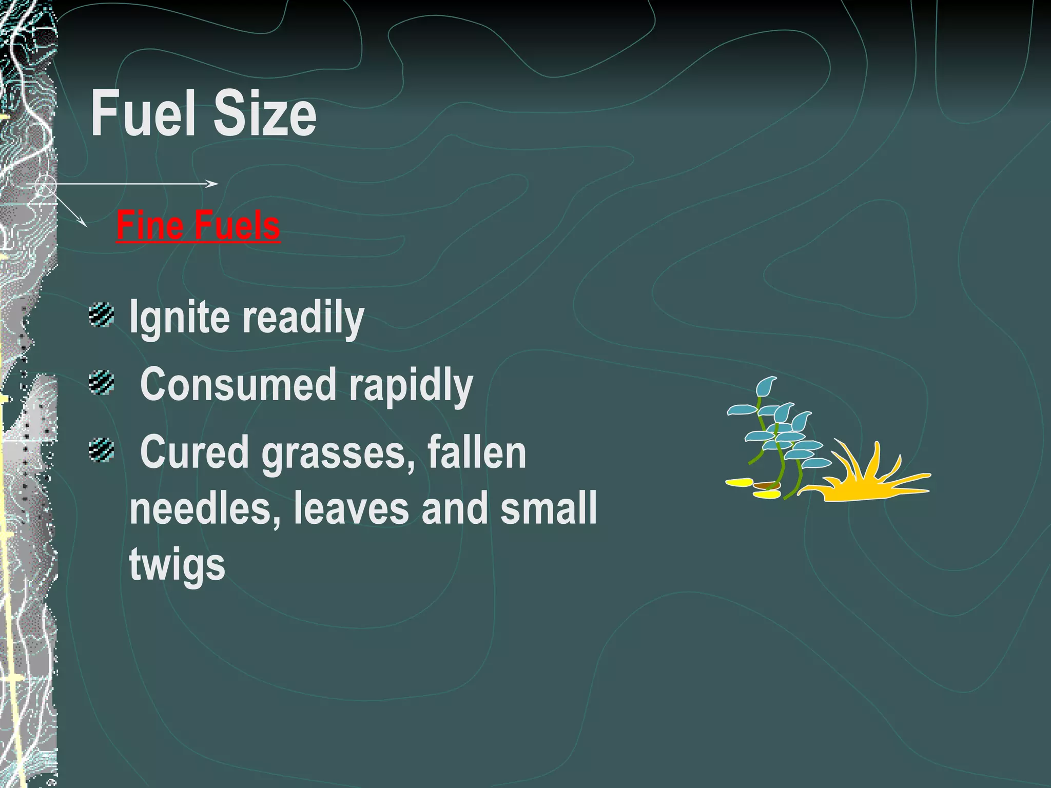 Fuel Size Ignite readily  Consumed rapidly  Cured grasses, fallen needles, leaves and small twigs Fine Fuels 