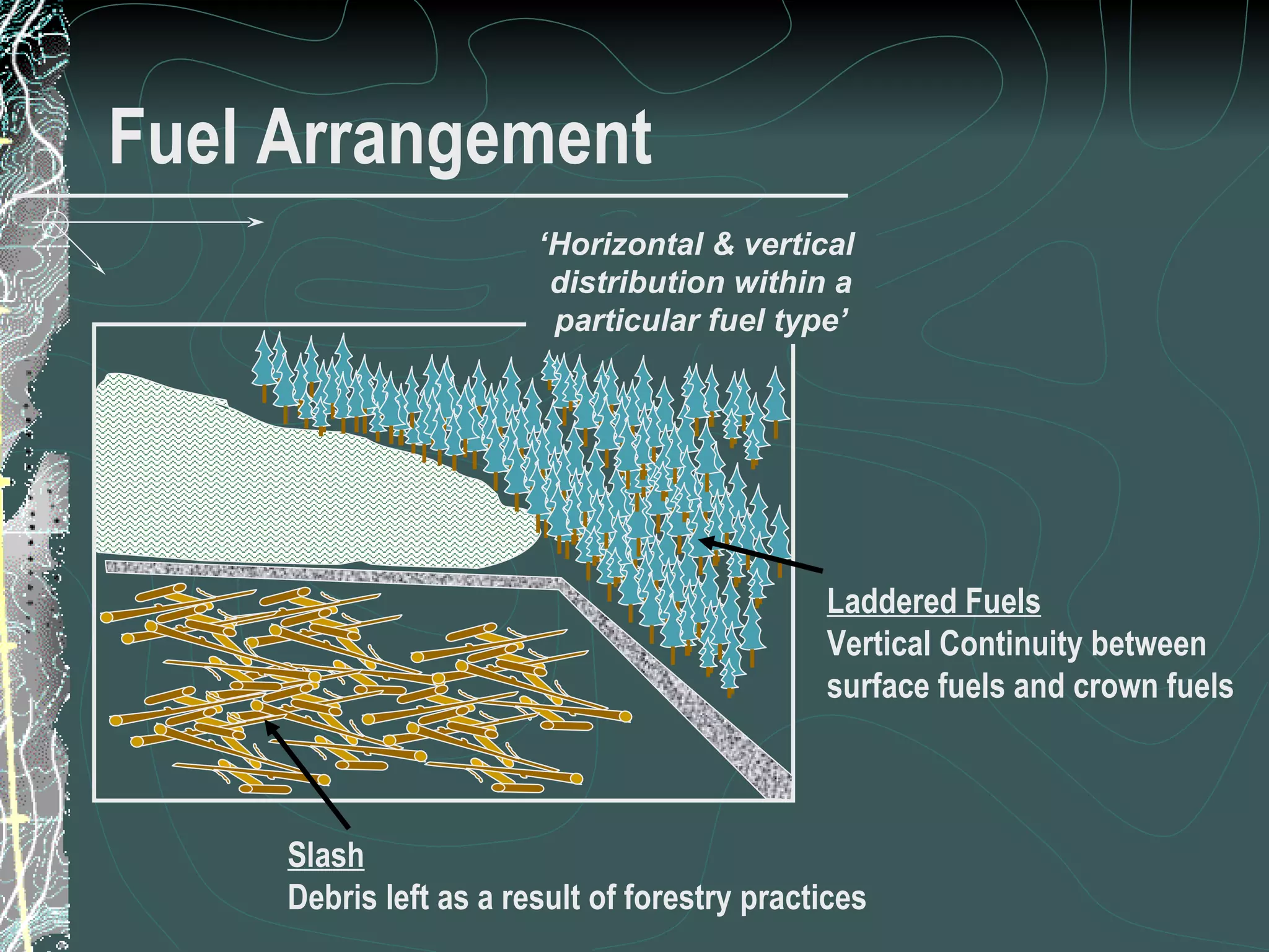 Fuel Arrangement Spread! ‘ Horizontal & vertical  distribution within a particular fuel type’ 11 of 31 Low Complexity Prescribed Burn Worker Laddered Fuels Vertical Continuity between surface fuels and crown fuels Slash Debris left as a result of forestry practices 