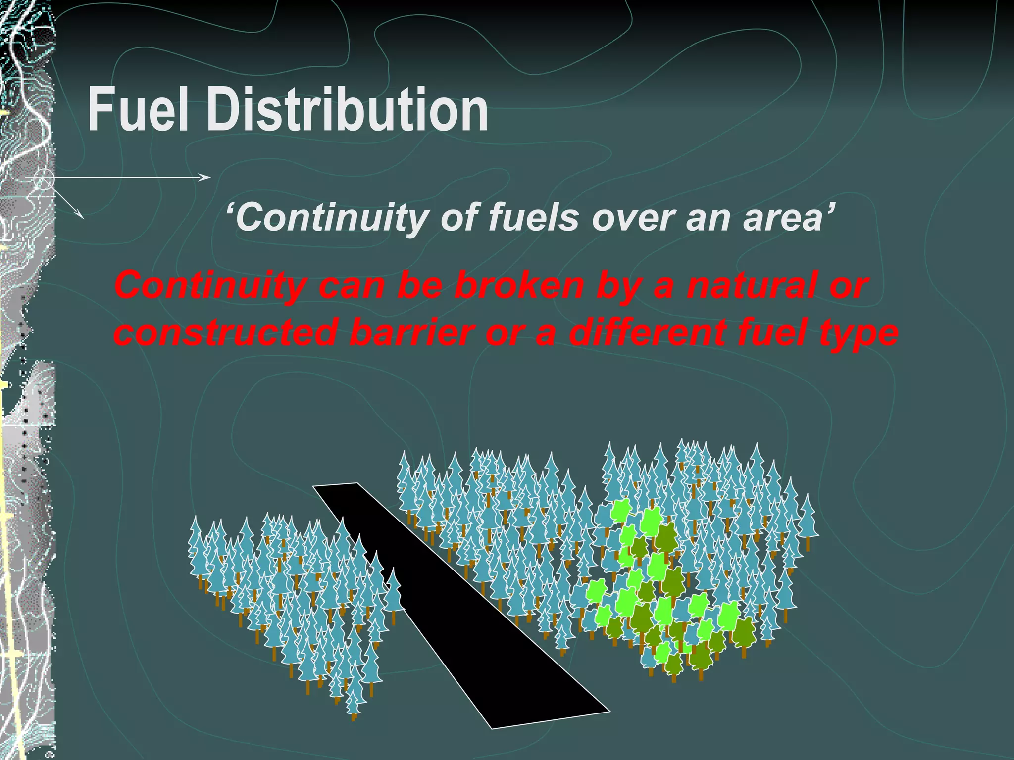 Fuel Distribution ‘ Continuity of fuels over an area’ Continuity can be broken by a natural or constructed barrier or a different fuel type  12 of 31 Low Complexity Prescribed Burn Worker 
