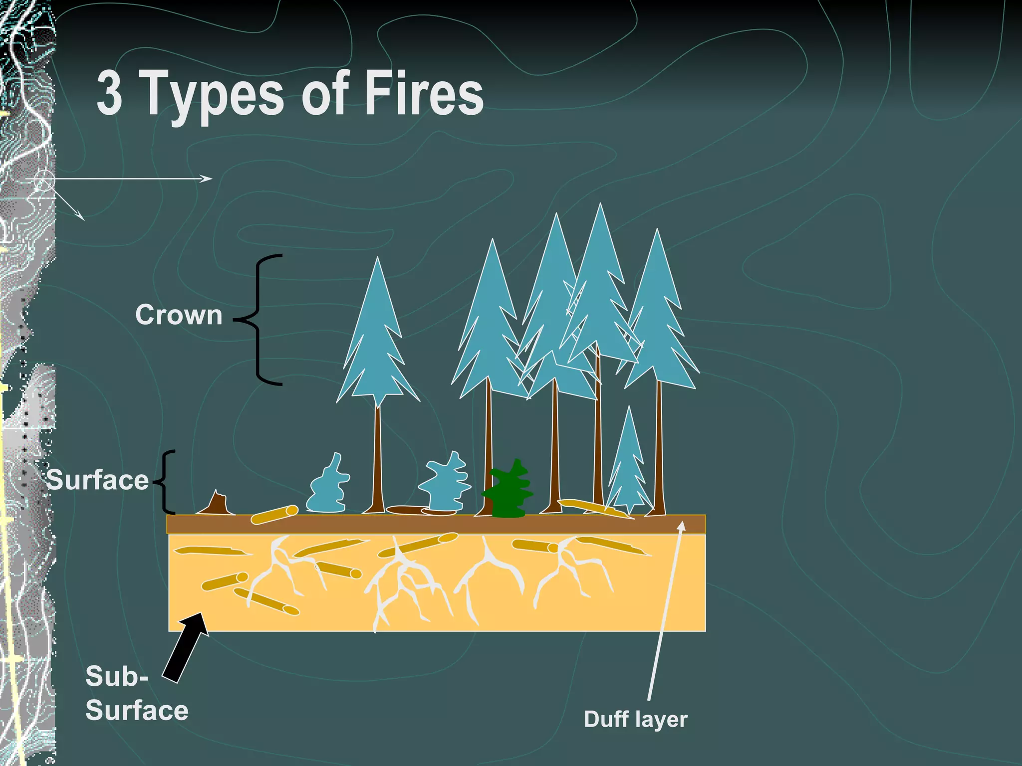 3 Types of Fires Crown Surface Sub- Surface Duff layer 13 of 31 Low Complexity Prescribed Burn Worker 