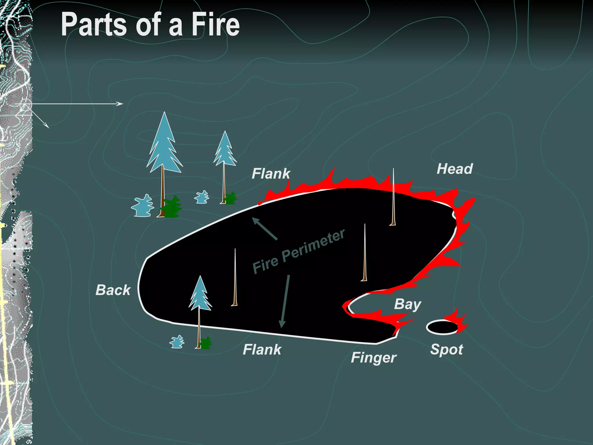 Parts of a Fire Spot  Bay  Head  Back  Flank  Flank  Finger  Fire Perimeter  16 of 31 Low Complexity Prescribed Burn Worker 