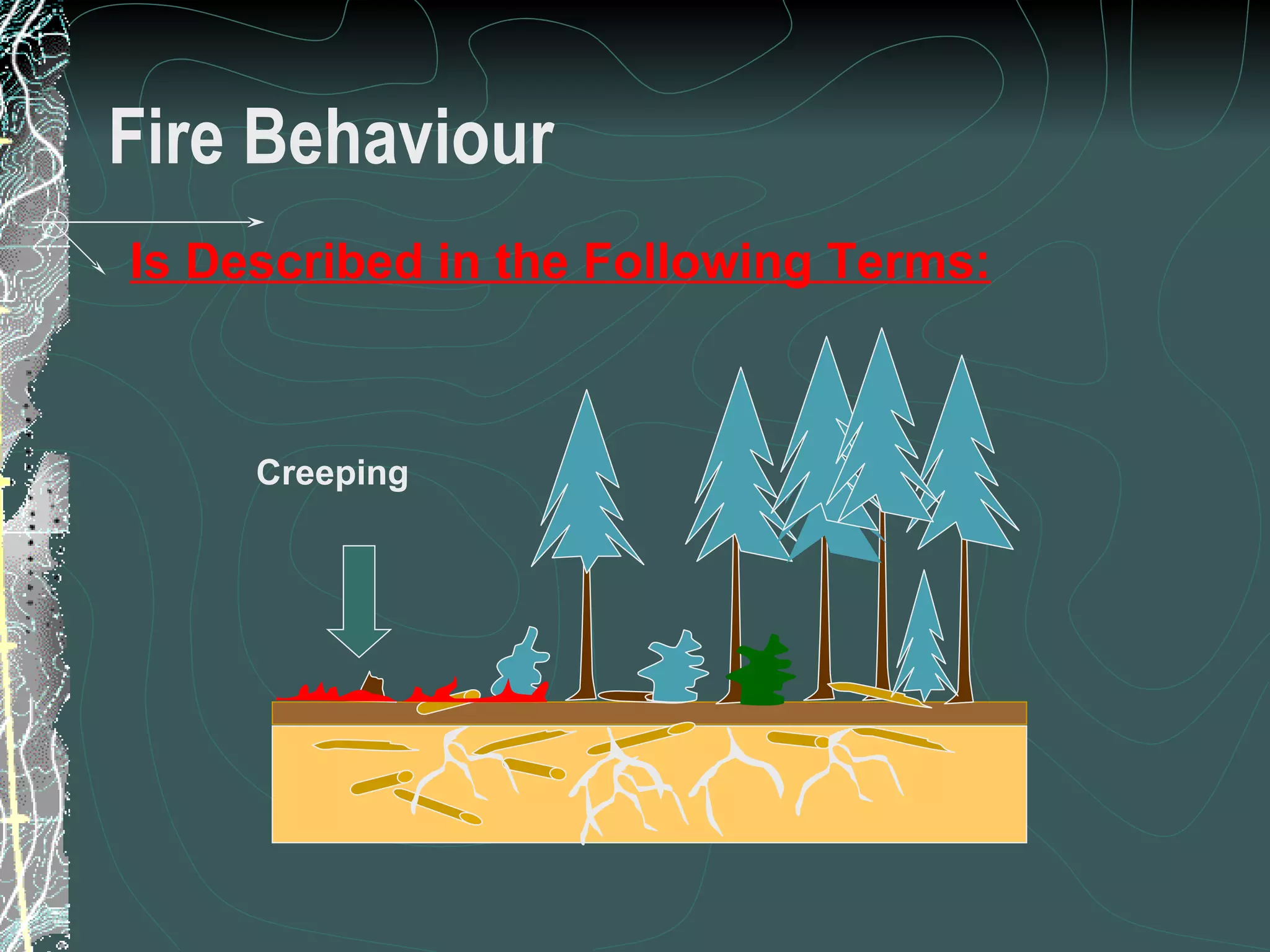 Fire Behaviour Is Described in the Following Terms: Creeping 