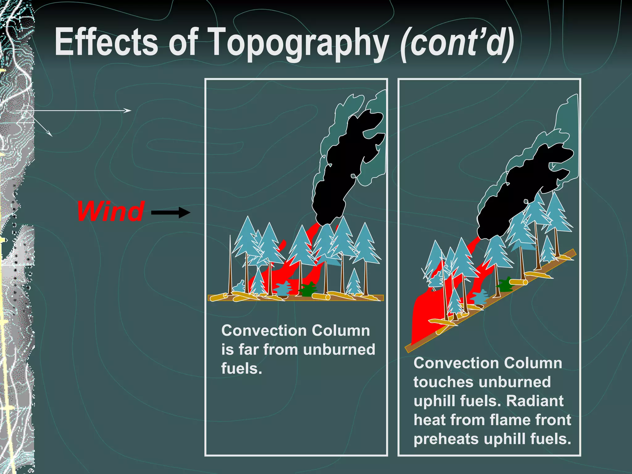 Effects of Topography  (cont’d) Convection Column is far from unburned fuels. Convection Column touches unburned uphill fuels. Radiant heat from flame front preheats uphill fuels. 23 of 31 Low Complexity Prescribed Burn Worker Wind 
