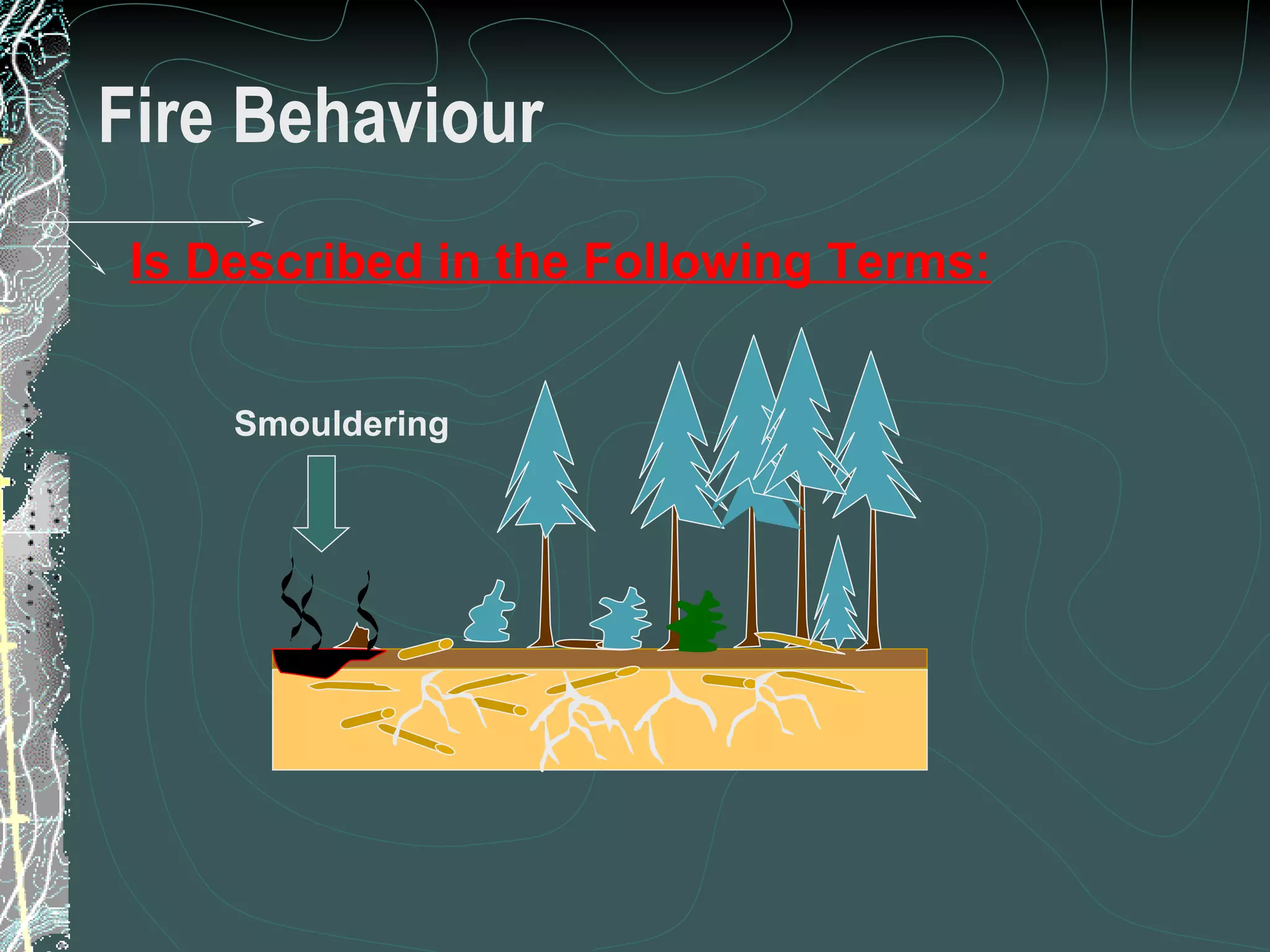 Fire Behaviour Smouldering Is Described in the Following Terms: 2 of 31 Low Complexity Prescribed Burn Worker 