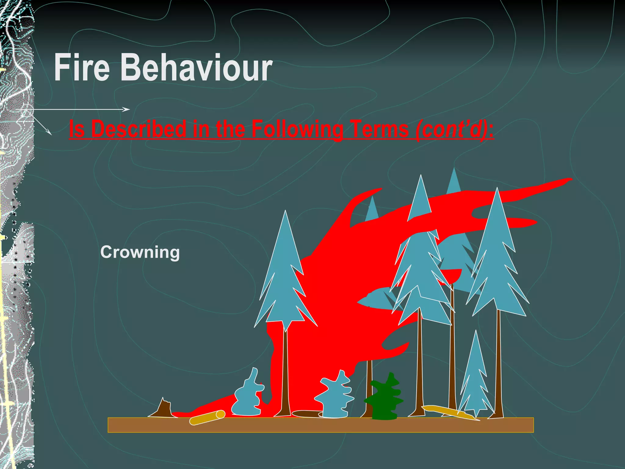 Fire Behaviour Is Described in the Following Terms  (cont’d) : Crowning 