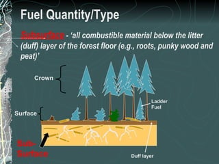 Fuel Quantity/Type Subsurface  - ‘all combustible material below the litter (duff) layer of the forest floor (e.g., roots, punky wood and peat)’ Crown Surface Sub- Surface Duff layer Ladder Fuel 8 of 31 Low Complexity Prescribed Burn Worker 